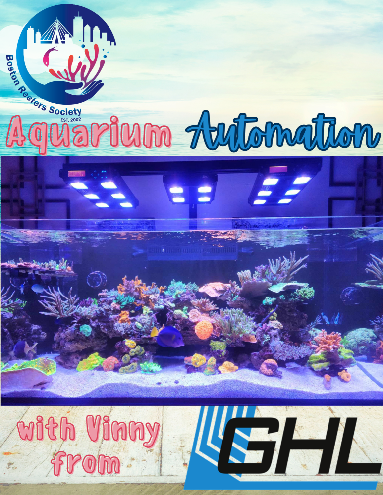 Reef Automation wVinny from GHL (1).png