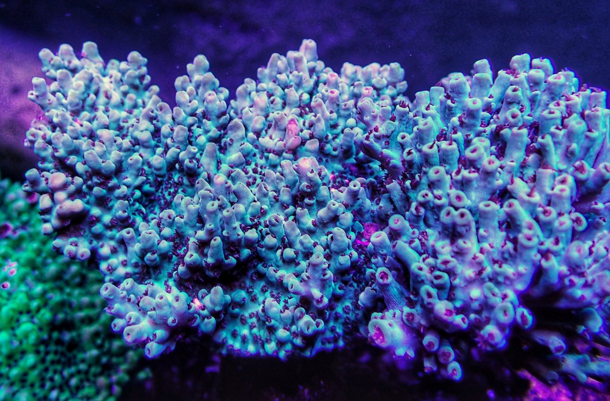 06810E7F-446E-454D-B17D-01B131C72493.jpeg