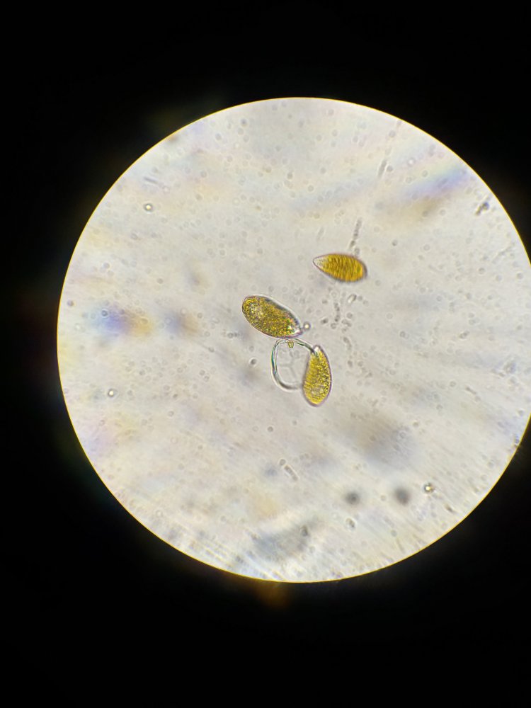 0703191638_HDR (1).jpg