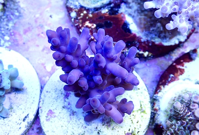 09885E94-63B5-4D5A-A51A-24260A815552.jpeg