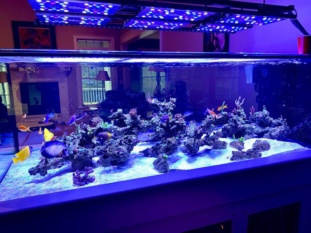 1.23.23 dining room side.jpg