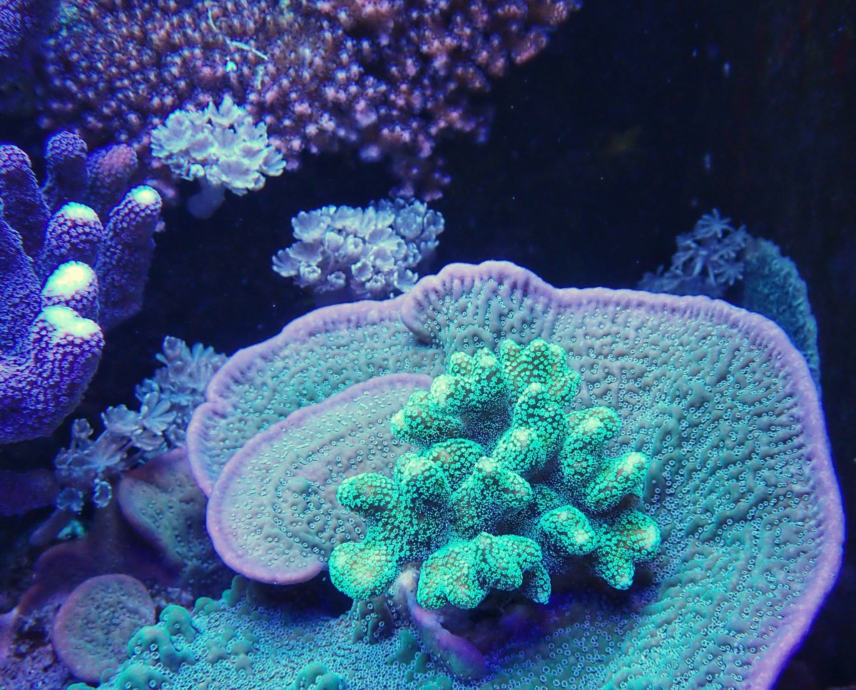 131FD121-F605-489E-9DFE-EBC921232E21.jpeg
