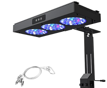 1728396454820.png 1728396454820.png