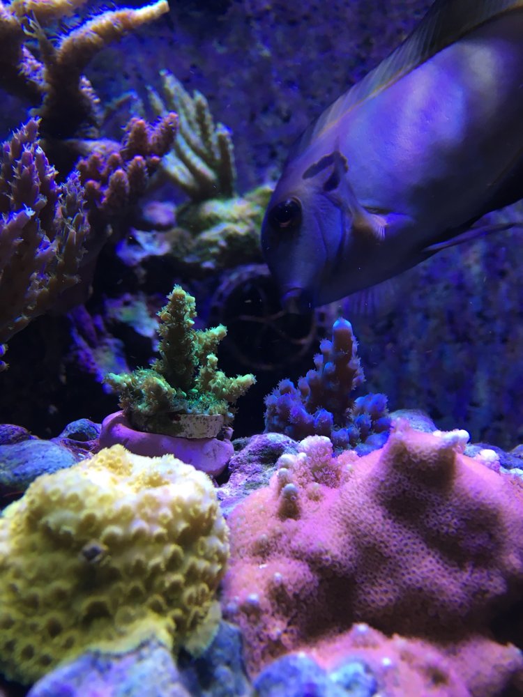 1764988197592.jpeg 1764988197592.jpeg