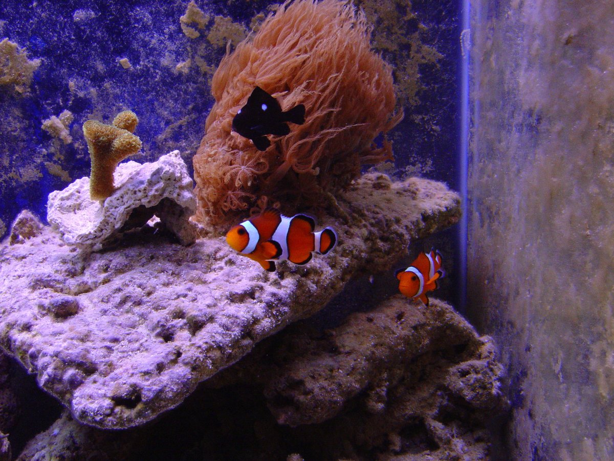 1765079151938.jpeg 1765079151938.jpeg