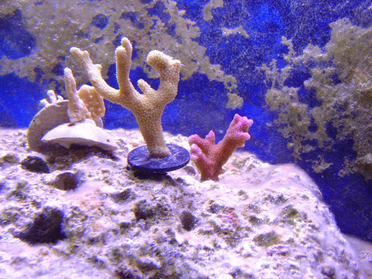 1765079225795.jpeg 1765079225795.jpeg