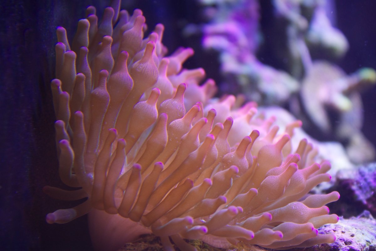 1765079615367.jpeg 1765079615367.jpeg