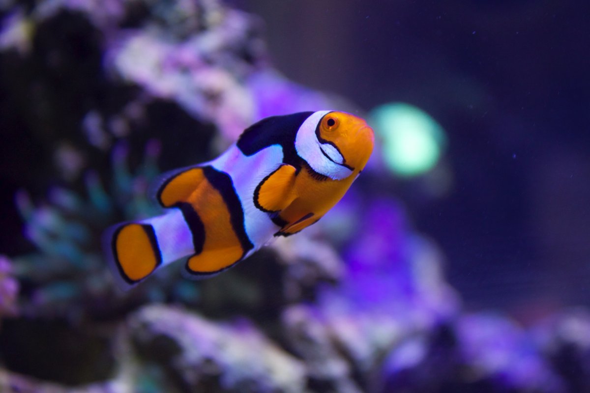 1765079636319.jpeg 1765079636319.jpeg