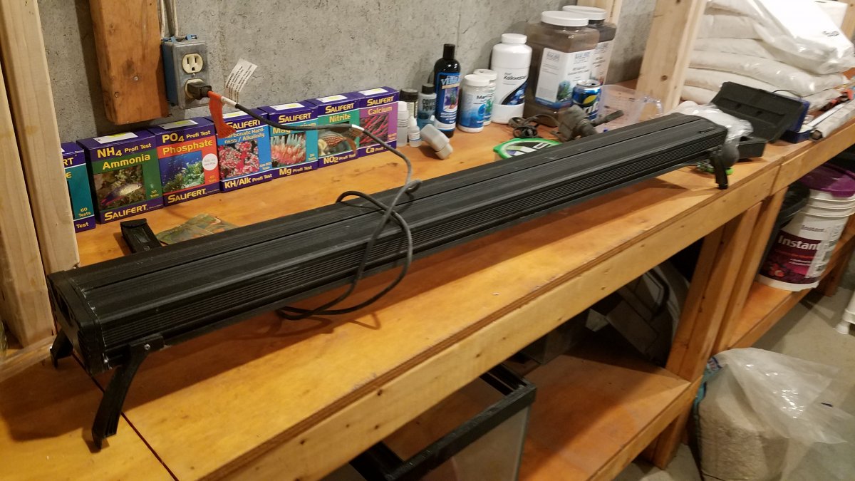 2018-03-29 22.59.48.jpg