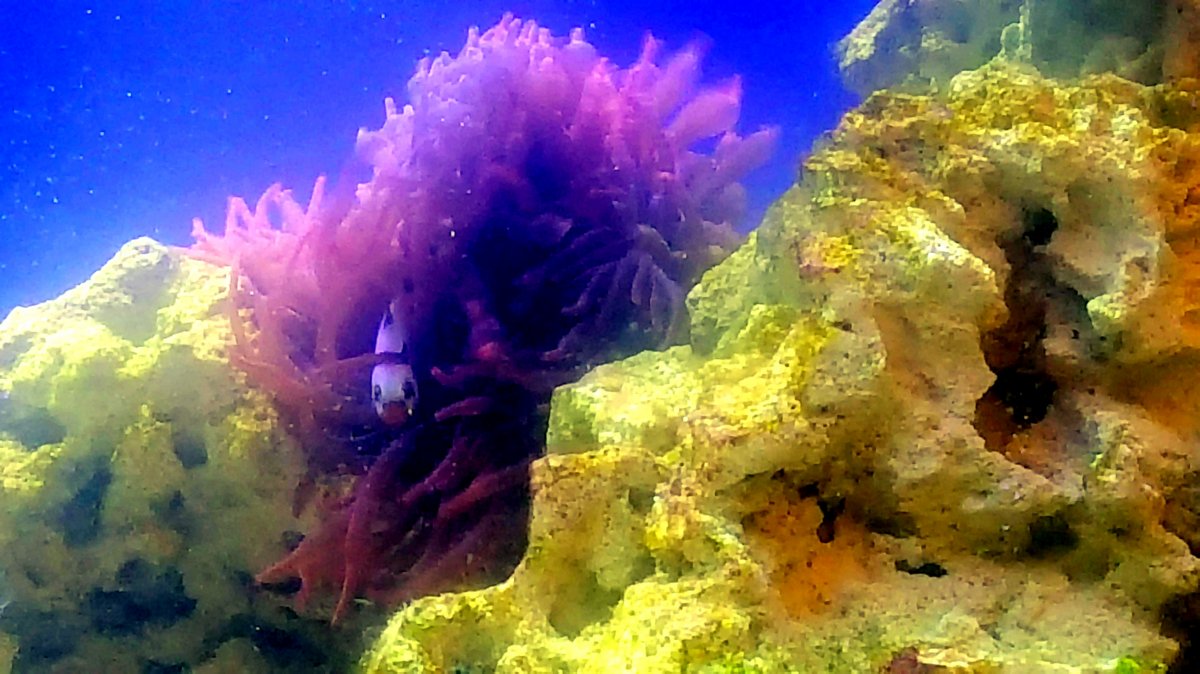 20180107_184908.jpg