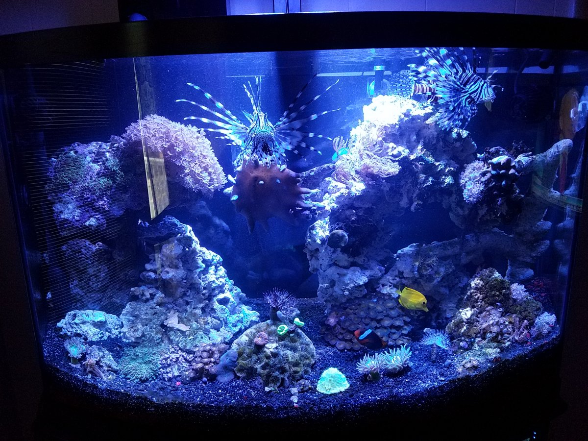 20180627_163534.jpg