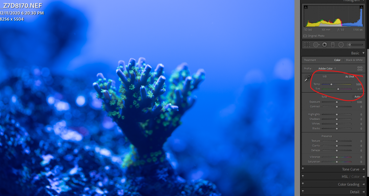 2021-02-09 224057.png