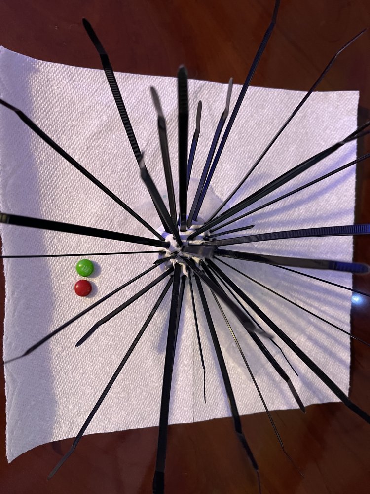 20210127 Epoxy Urchin.jpg