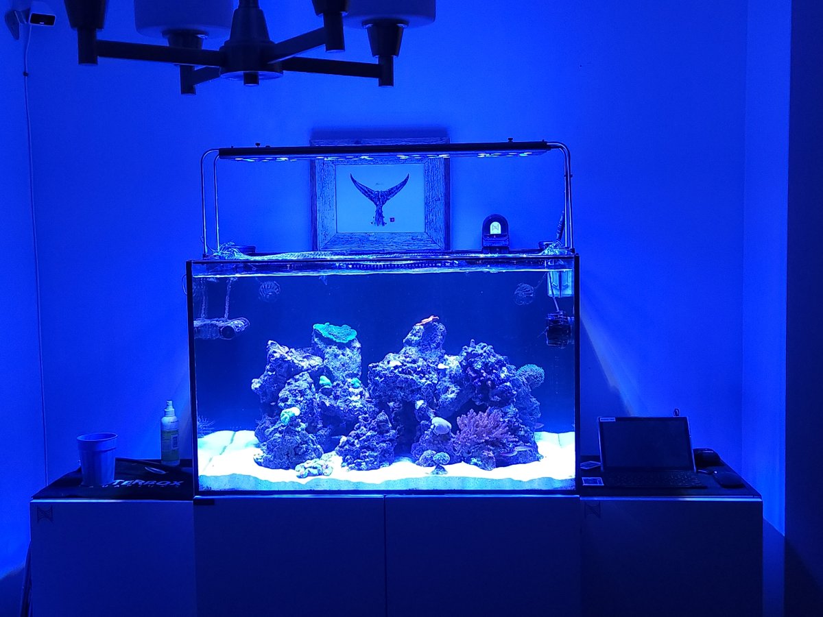 20220828_224423.jpg