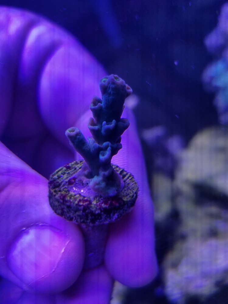 20220919_180711.jpg