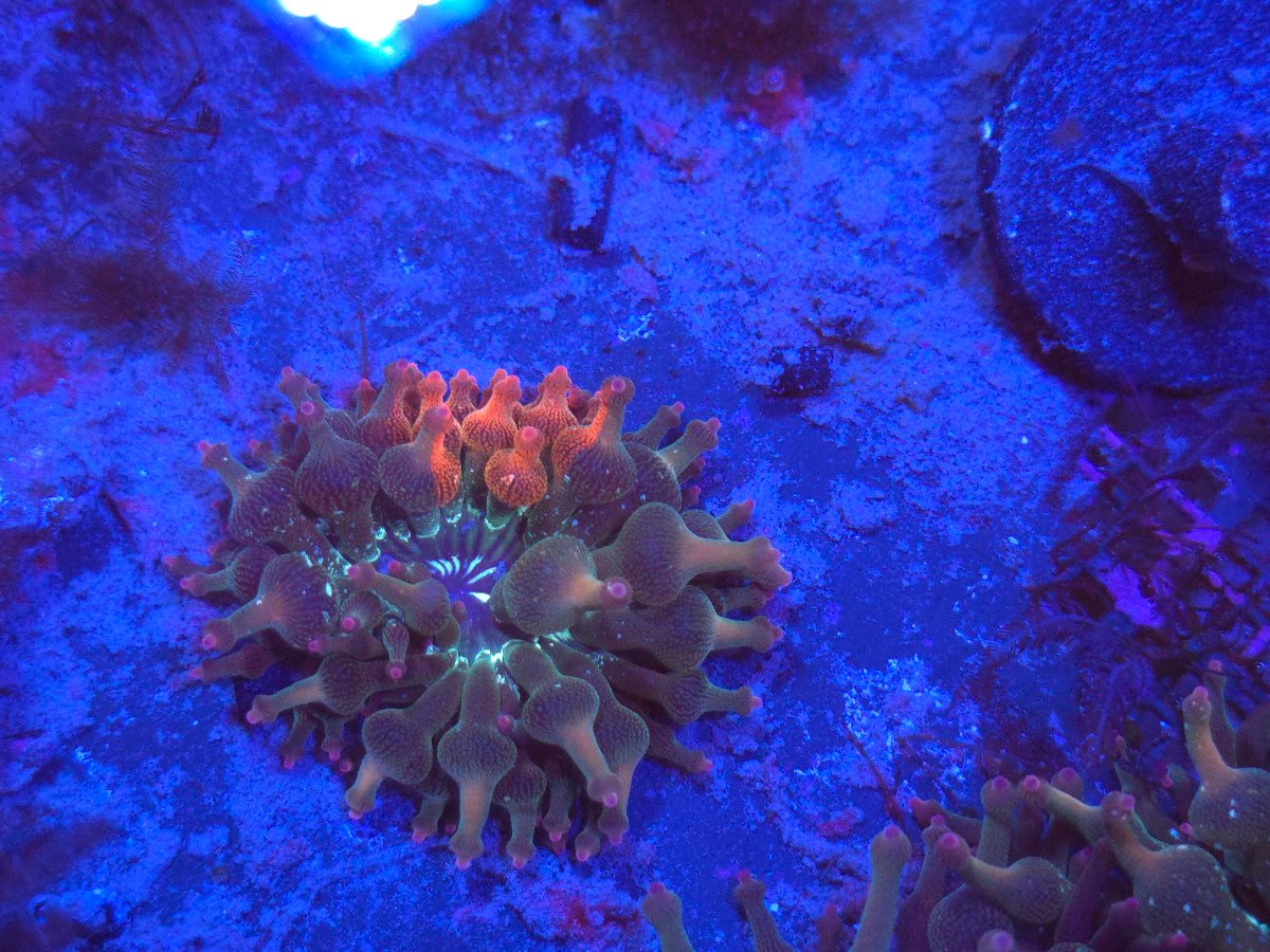 2025-03-08 15.59.32.jpg