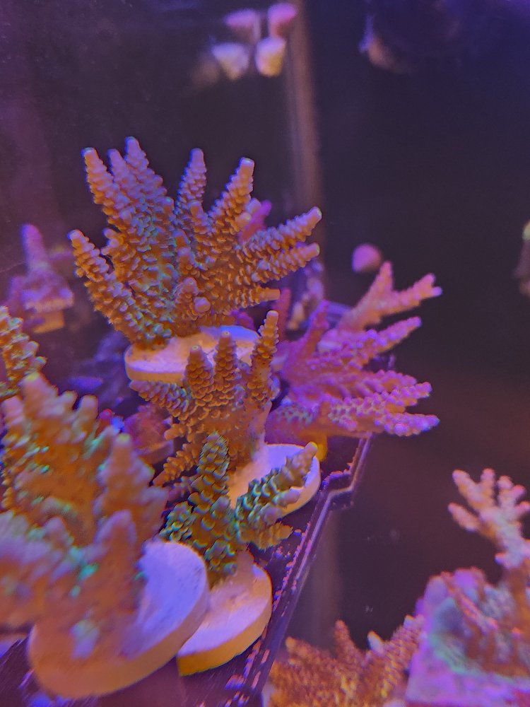 20260502_174400.jpg