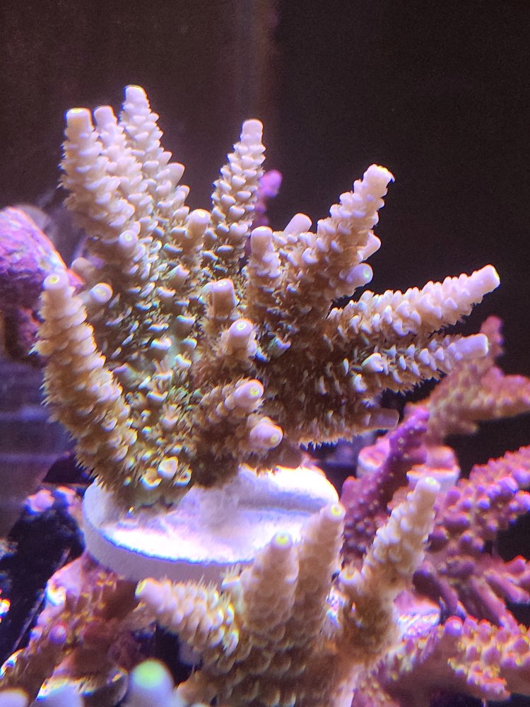 20260505_153412.jpg