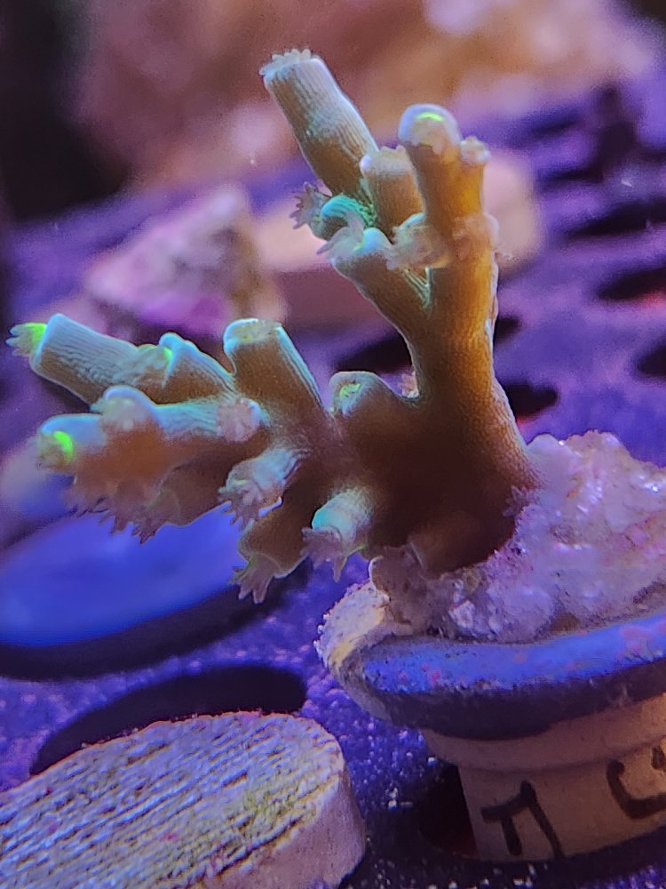 20260523_143208.jpg