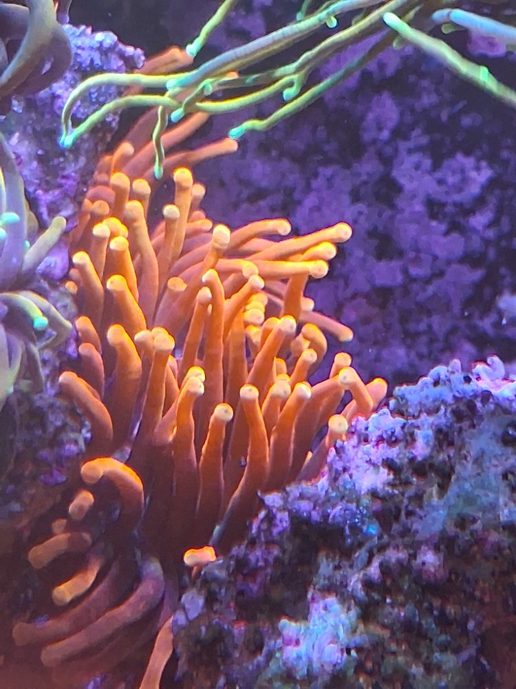 20260524_132820.jpg