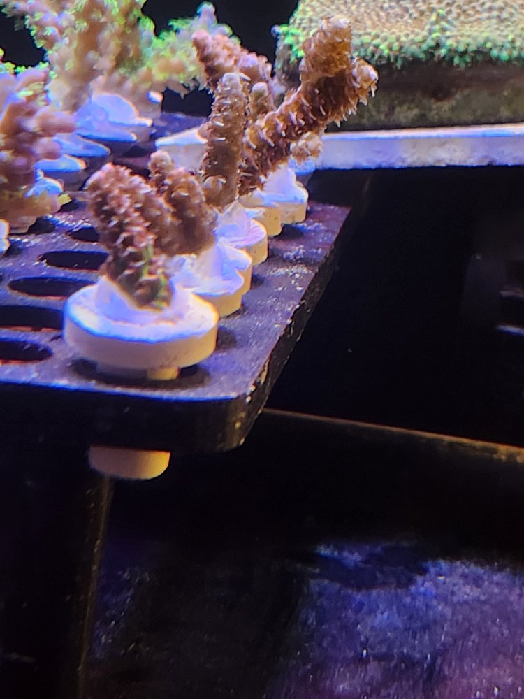 20260705_160237.jpg