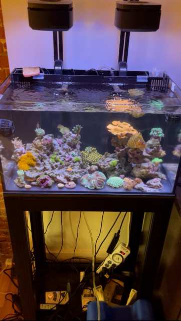 20g AIO at Apartment.png