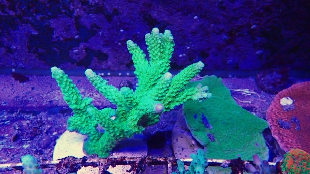22E3236F-D944-4B62-BFD3-B35AF14D496D.jpeg