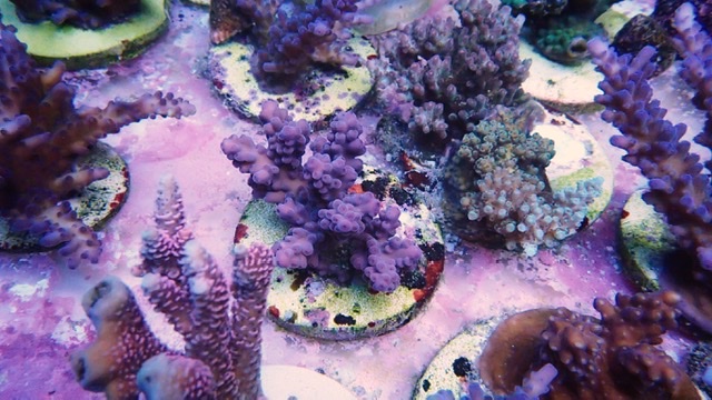 30B5A05B-39E5-4E25-8813-30E6D5580B86.jpeg