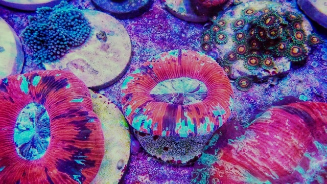 328B8AC3-7913-4A8F-82B6-E56988027E7D.jpeg