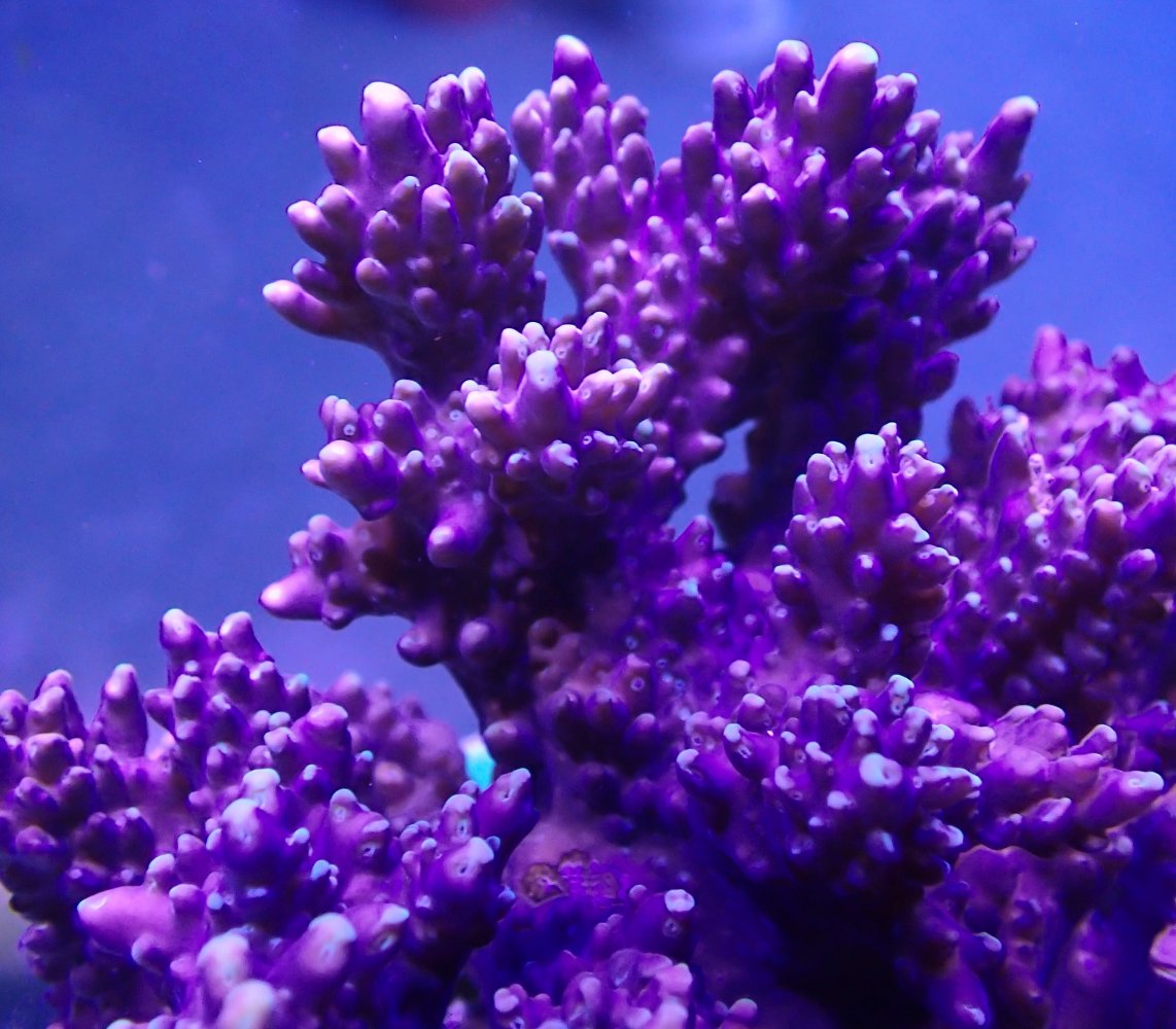 3E67275D-2727-4609-8B7F-619306C833E3.jpeg