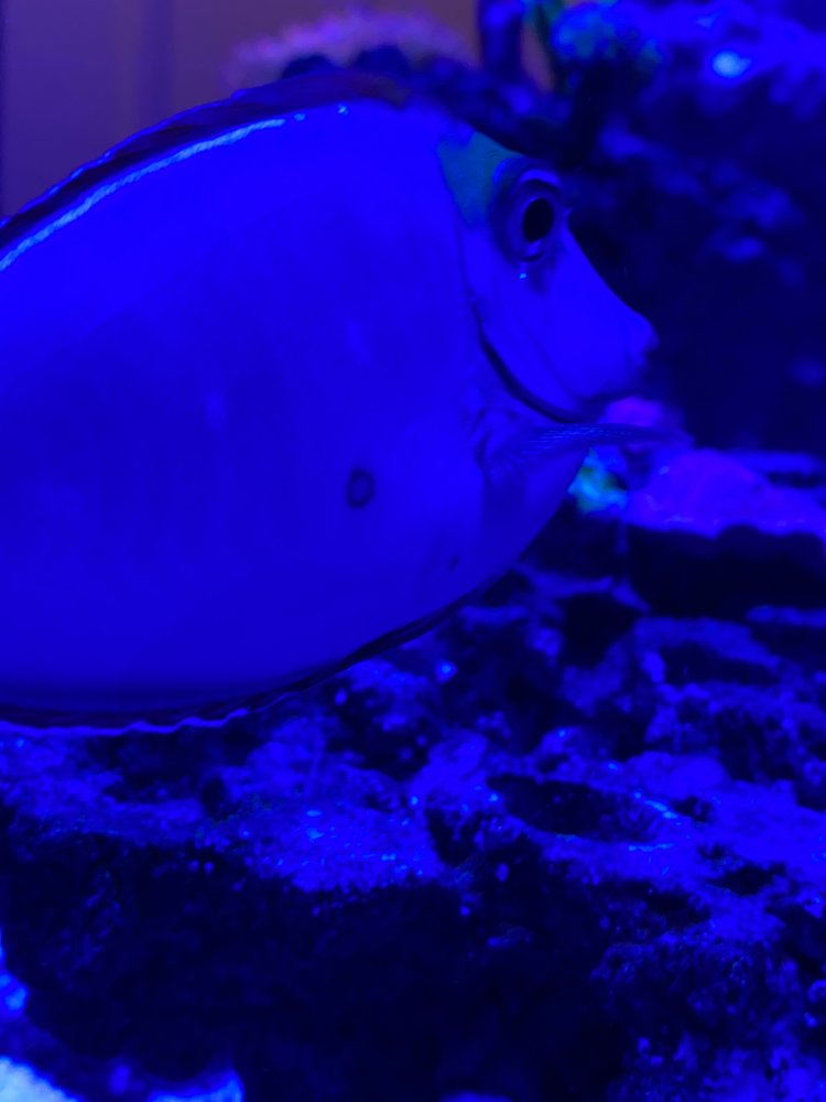 4116CB00-98C4-4EA5-A530-F1EC0C161BE5.jpeg
