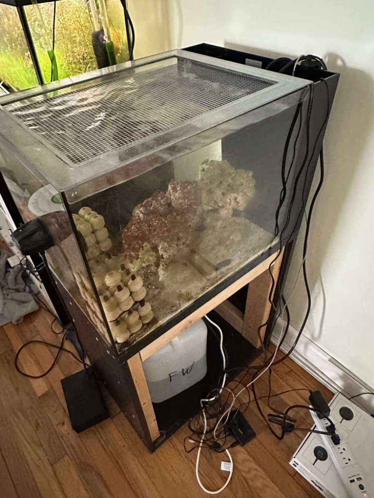 504528118_779391607769429_8972178735040001056_n (1).jpg