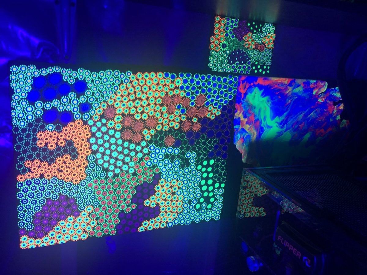 53506838-58E6-4E79-B25E-4434B1E3F9D6.jpeg