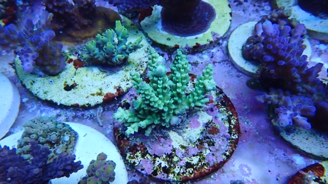 5F044365-9C45-4DC7-9B2D-C82D2E31DB3C.jpeg