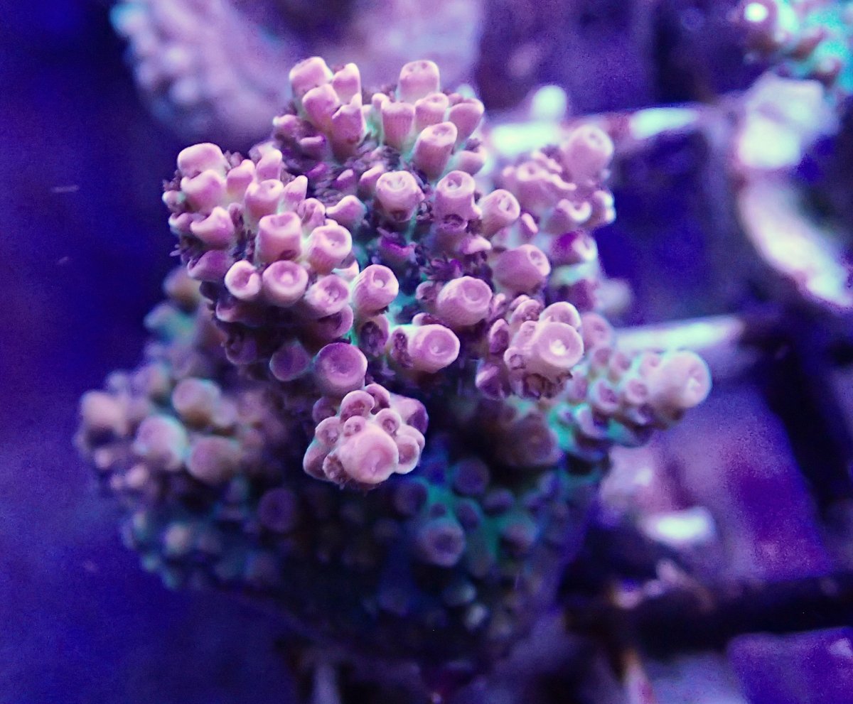 64A712CF-3E37-49CD-8D5B-8B5411C6FFDD.jpeg