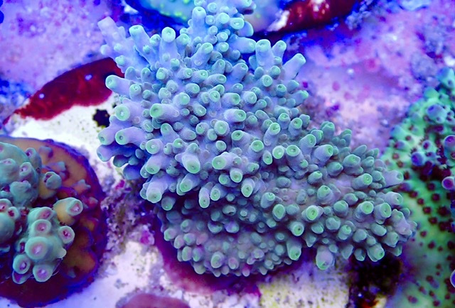 66937D58-7809-4DD2-8E6E-FE7E15990E79.jpeg