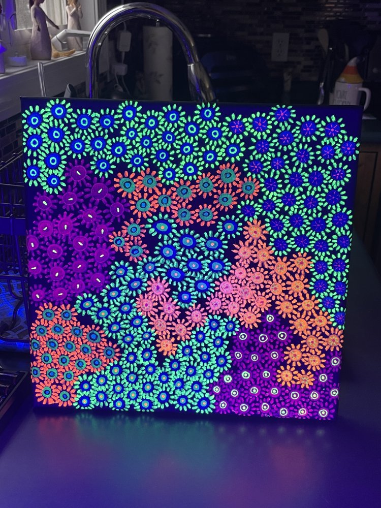 68B65C50-EBDC-4D3F-8811-AAE2D6D1B216.jpeg