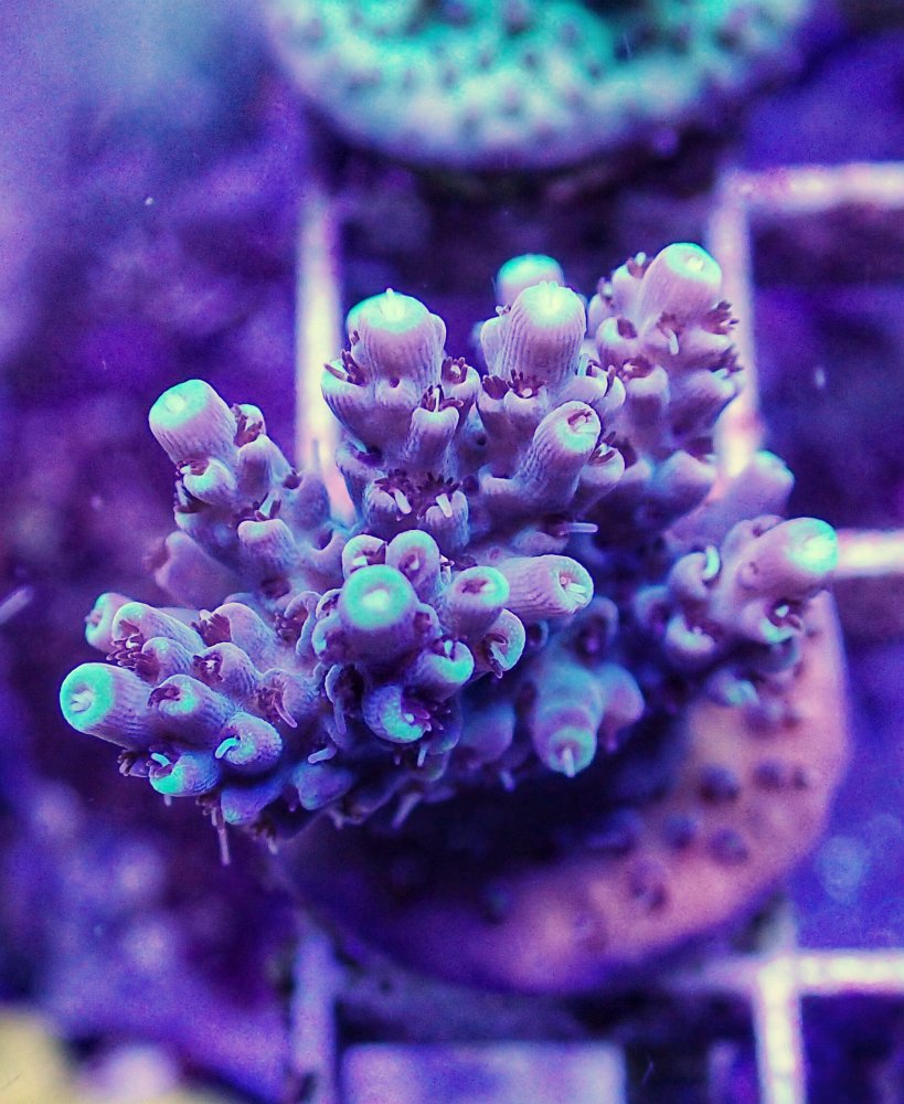 6D330CBB-D226-43DB-A195-AAE35769A8D5.jpeg