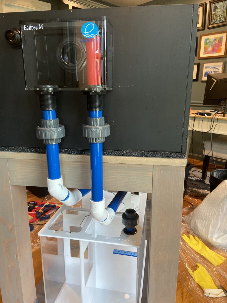 70562238634--F73BAEAF-EA09-4A25-AA23-70044FEB1C4C (1).jpg