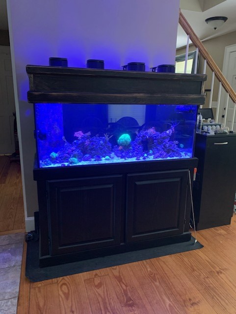 75G Setup at Joeys.jpg