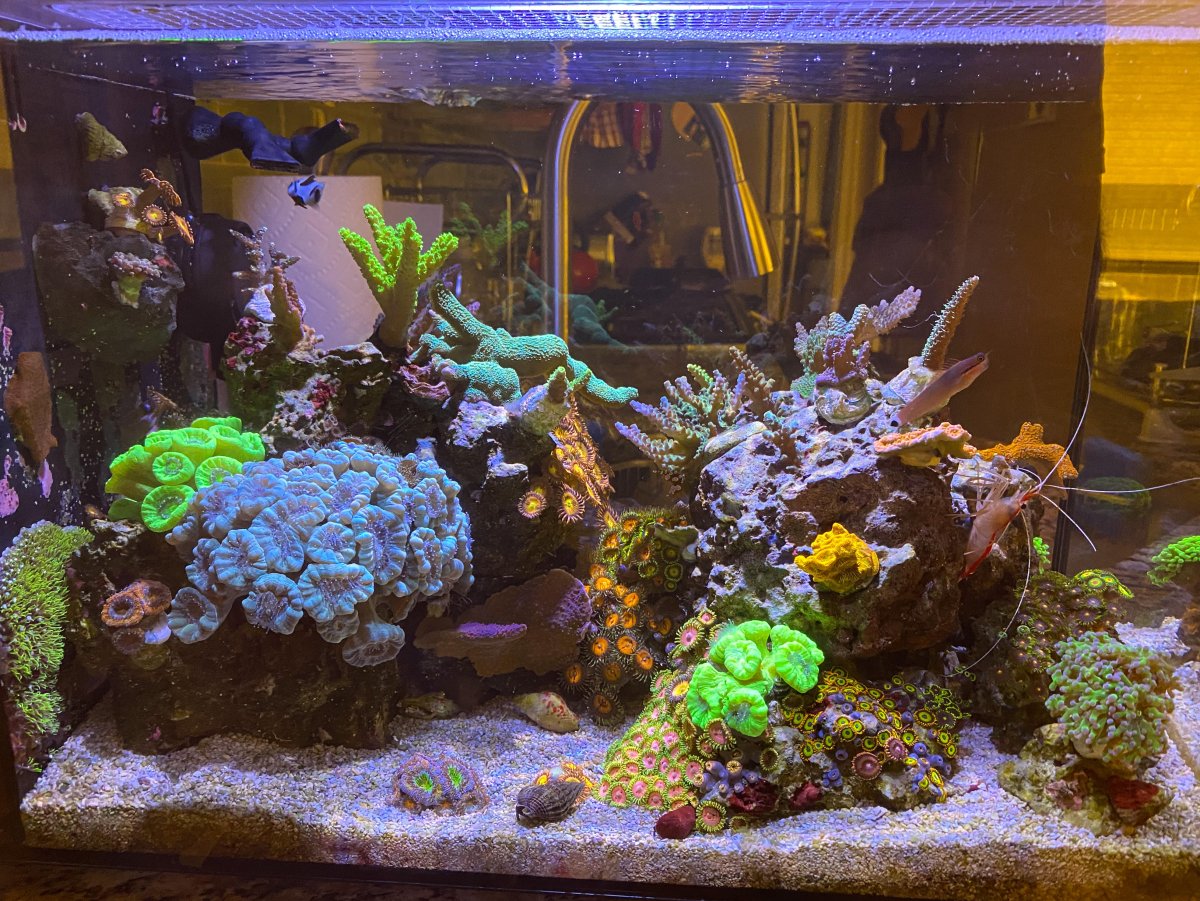 8-1-reef-living room.jpg