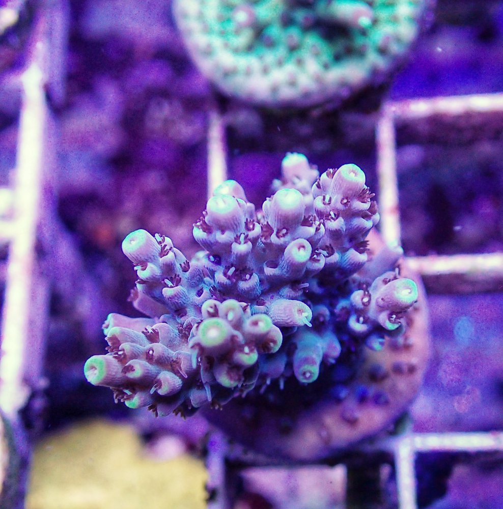 803AFF43-EB0C-4E76-99F1-83EB7626703E.jpeg