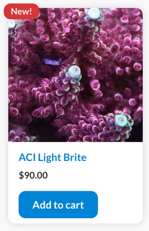 ACI lite bright.png