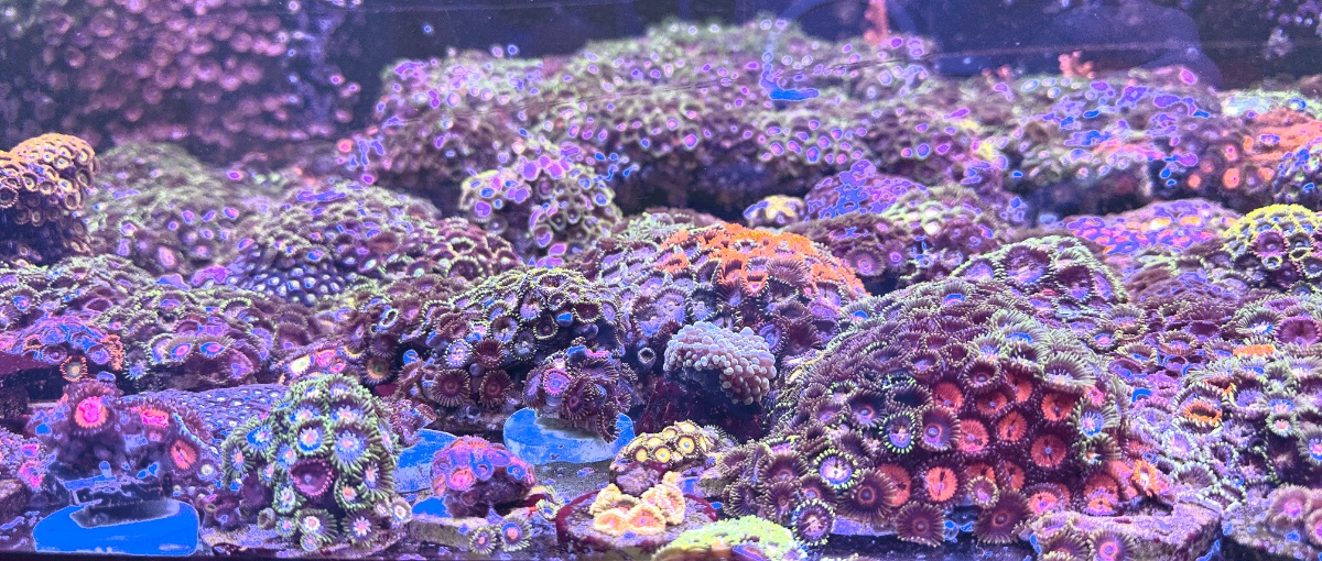 AquaCam_BA6999C9.jpeg