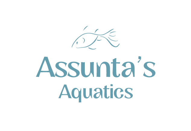 Assuntas_Aquatics_Logo.png