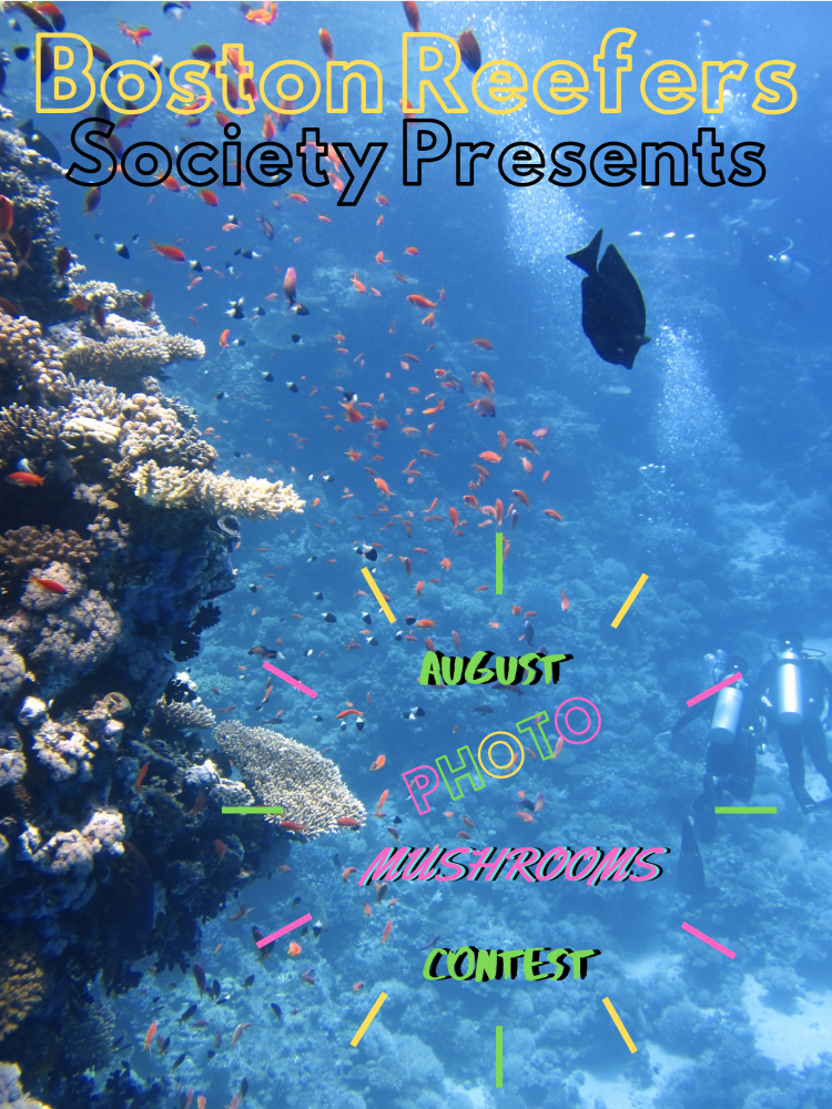 August Photo Contest.png