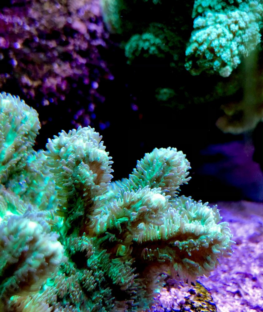 B040C223-0575-4466-97F8-CB8AE286E88C.jpeg