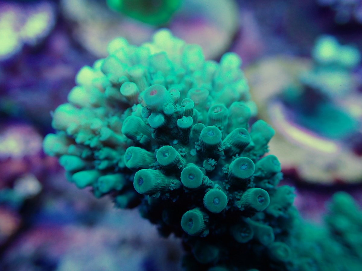 B1791408-5D5F-45F7-BB70-E86A9C5B0B61.jpeg