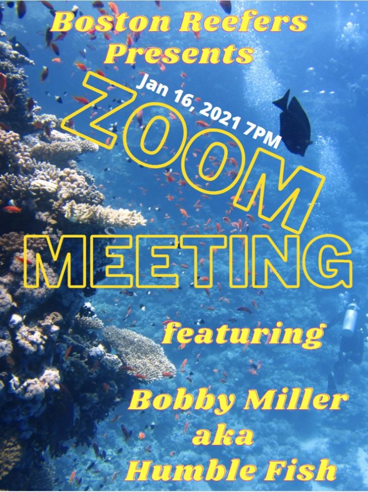 Bobby Miller aka Humblefish.JPG