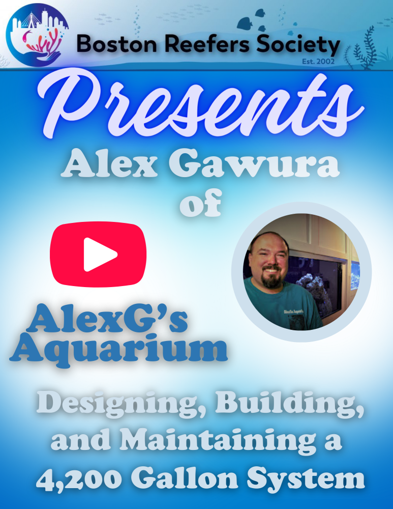 BRSABC Reagents February Meeting (2).png